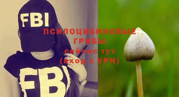 Альфа ПВП Балабаново