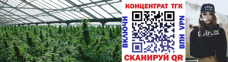 ТГК вейп  darknet какой сайт  Петухово 